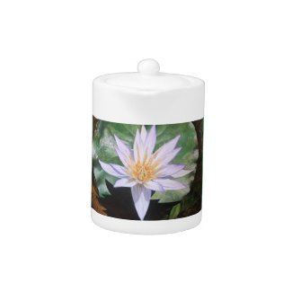 Water Lily Fine Art Teapot