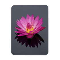 Water Lily Flexible  Magnet
