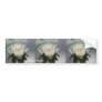 Water Lily Flower Bumper Sticker Car Art