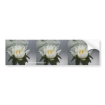 Water Lily Flower Bumper Sticker Car Art bumper stickers