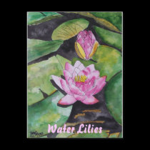 water lily flower, Water Lilies postcards by dereklovessheila water lily flower, Water Lilies postcards