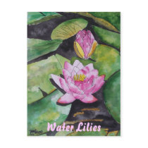 water lily flower, Water Lilies postcards