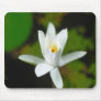 Water Lily Desktop Wallpaper Water Lily (FreeWallpaperBlog.com) Mouse Pads