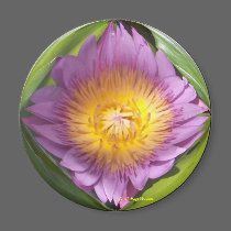 Water Lily Globe magnets by DebraThackston Water Lily Globe magnets
