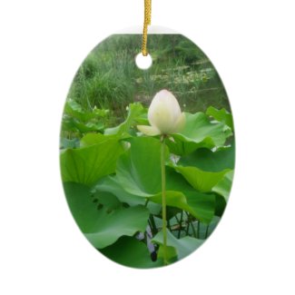 Water Lily Hazrat Inayat Khan Quote Ornament ornament