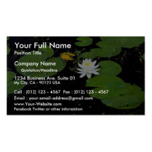 Water lily, Ile du Marais, Ste-Catherine-de-Hatley Business Card Template