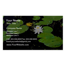 Water lily, Ile du Marais, Ste-Catherine-de-Hatley Business Card Templates