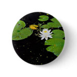 Water lily, Ile du Marais, Ste-Catherine-de-Hatley Pinback Buttons