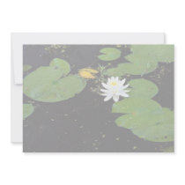 Water lily, Ile du Marais, Ste-Catherine-de-Hatley Custom Invitation