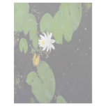 Water lily, Ile du Marais, Ste-Catherine-de-Hatley Personalized Letterhead