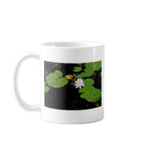 water_lily_ile_du_marais_ste_catherine_de_hatley_mug-p168618161576946495en711_210.jpg