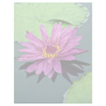 Water lily in full bloom  flowers personalized letterhead