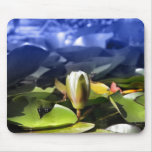 Water lily in pond mouse pad