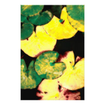 Water lily leaves photo print