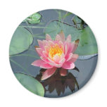 water lily fridge magnet