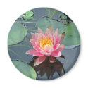 water lily magnets by Blanche4 water lily magnets