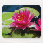 Water Lily Mouse Pad mousepads
