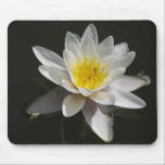 Water lily mousepad mousepads