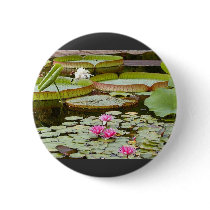 Water Lily Pads Ponds buttons by lifesphere Water Lily Pads Ponds buttons