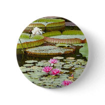 Water Lily Pads Ponds buttons by lifesphere Water Lily Pads Ponds buttons