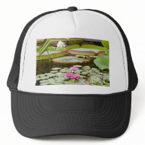 Water Lily Pads Ponds Mesh Hats