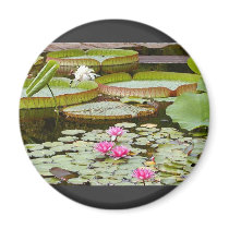 Water Lily Pads Ponds magnets by lifesphere Water Lily Pads Ponds magnets