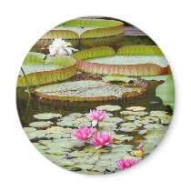 Water Lily Pads Ponds magnets