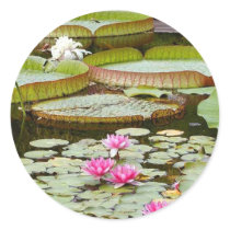Water Lily Pads Ponds stickers by lifesphere Water Lily Pads Ponds stickers