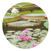 Water Lily Pads Ponds stickers by lifesphere Water Lily Pads Ponds stickers