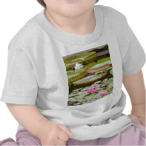 Water Lily Pads Ponds t-shirts