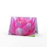 Water Lily Petals Valentine Greeting Card