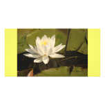 Water-Lily Photo Card Template