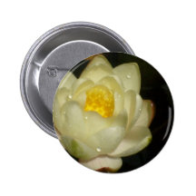 Water Lily Pinback Buttons