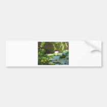 Water Lily Pond bumper stickers
