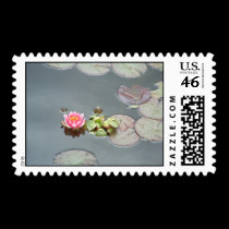 Water Lily Postage stamps