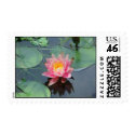 water lily postage by Blanche4 water lily postage