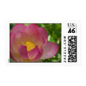 Water Lily postage by marierm Water Lily postage