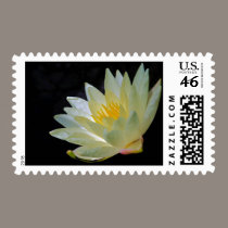 Water Lily postage by zeebuzz Water Lily postage