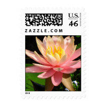 Water Lily postage by pmoore Water Lily postage