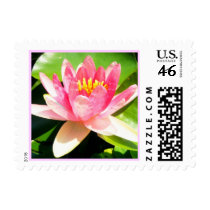 Water Lily postage