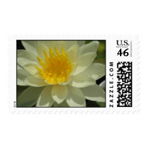 Water Lily Postage