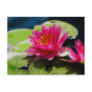 Water Lily Postcard