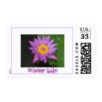 Water Lily Postcard Stamp