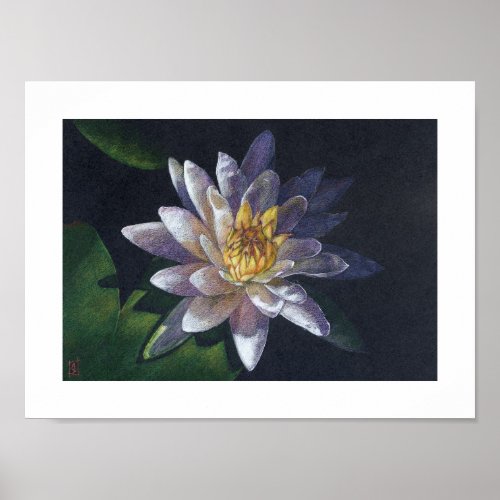 Water Lily print