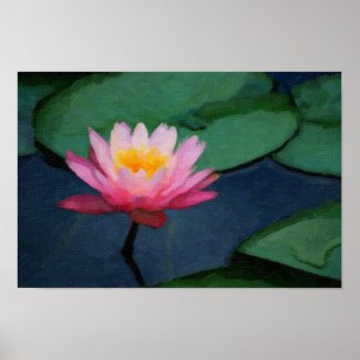 Water Lily Poster print