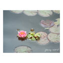 Water Lily Poster posters by pennysart Water Lily Poster posters