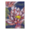 Water Lily posters