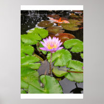 Water Lily Print