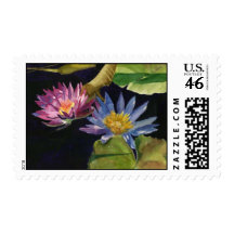 Water Lily Stamps