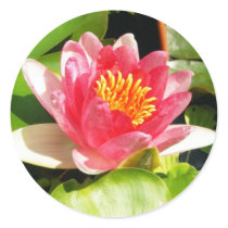 Water Lily stickers by princessklb07 Water Lily stickers